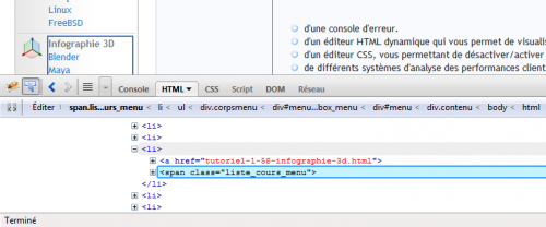 Au survol d'un élément, son code HTML s'affiche dans Firebug